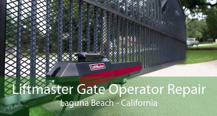 Liftmaster Gate Operator Repair Laguna Beach - California